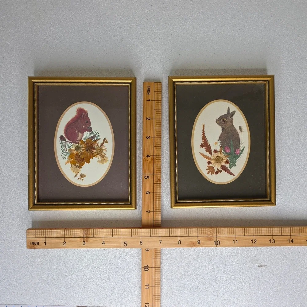 Sharon Jervis measurements height